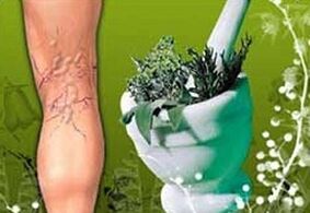 биљке за лечење проширених вена